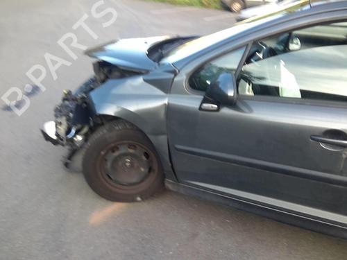 Left front door PEUGEOT 207 (WA_, WC_) 1.4 HDi | BP22002761C2 