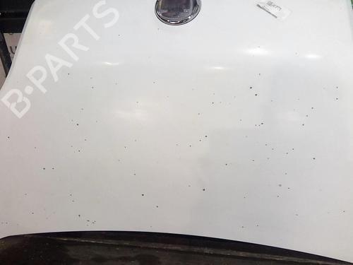 Hood FIAT FIORINO Box Body/MPV (225_) 1.3 D Multijet (225BXD1A, 225BXB1A, 225BXB11) | BP22004611C1 