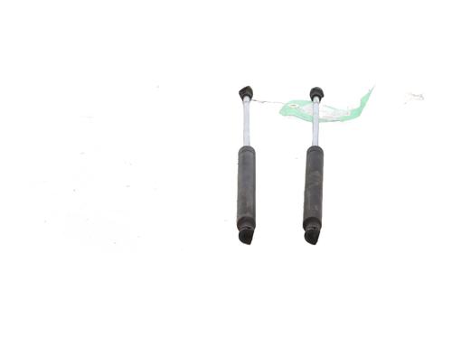 Used Tailgate lift support RENAULT CLIO II (BB_, CB_) 1.5 dCi (B/C2J) (68 hp) 30948961