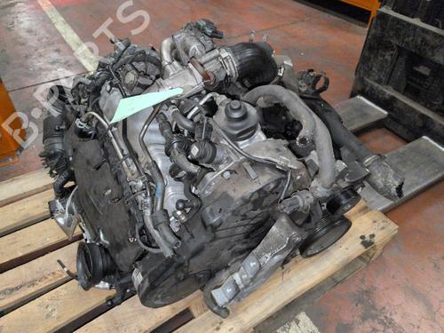 Engine VW GOLF PLUS V (5M1, 521) 2.0 TDI | BP39258211M1 - Image 8