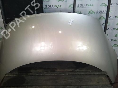 Hood RENAULT SCÉNIC III (JZ0/1_) 1.9 dCi (JZ0J, JZ1J, JZ1K, JZ1S) | BP22004419C1 