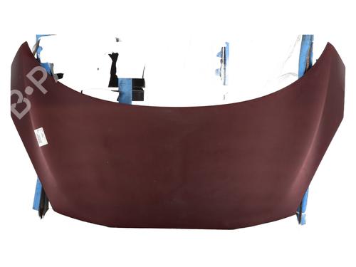 Used Hood RENAULT SCÉNIC III (JZ0/1_) 1.6 dCi (JZ00, JZ12) (130 hp) 25603745