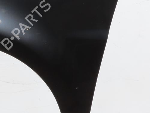 Left front fenders RENAULT CLIO III (BR0/1, CR0/1) 1.5 dCi (BR17, CR17) | BP26466424C41 