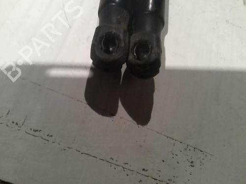 Tailgate lift support CITROËN C4 Picasso I MPV (UD_) 1.6 HDi | BP21556445C138 