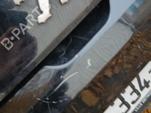 Hinge/Door check strap PEUGEOT 308 I (4A_, 4C_) 1.6 HDi | BP30715656C146