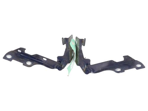 Hinge/Door check strap RENAULT CLIO II (BB_, CB_) 1.2 (BB0A, BB0F, BB10, BB1K, BB28, BB2D, BB2H, CB0A,... | BP29291996C146 