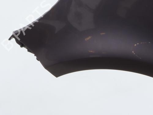 left-front-fenders-renault-clio-iii-br01-cr01-2005-2006-2007-2008-2009-2010-2011-2012-2013-2014-33709030 main image