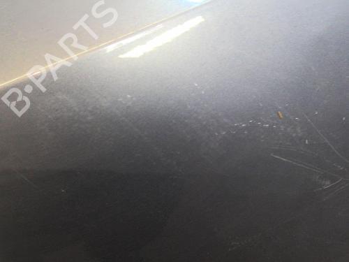 Used Tailgate RENAULT CLIO III (BR0/1, CR0/1) 1.5 dCi (C/BR0G, C/BR1G) (68 hp) 20356633