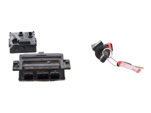 Used Electronic module RENAULT CLIO III (BR0/1, CR0/1) 1.5 dCi (BR17, CR17) (86 hp) 31287780