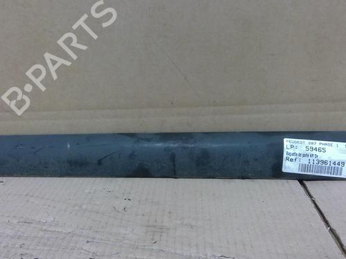 Door moulding trim PEUGEOT 207 (WA_, WC_) 1.6 HDi | BP29840521C150