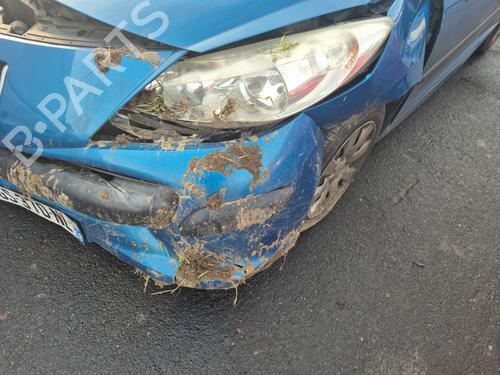 Left front door PEUGEOT 207 (WA_, WC_) 1.4 | BP31961506C2 