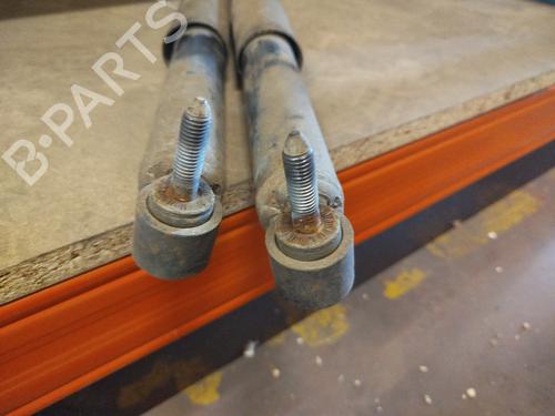 Right rear shock absorber RENAULT SCÉNIC III (JZ0/1_) 1.9 dCi (JZ0J, JZ1J, JZ1K, JZ1S) | BP26448133M19 
