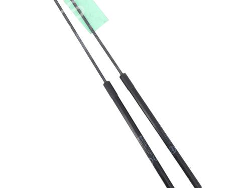 Used Tailgate lift support FORD C-MAX II (DXA/CB7, DXA/CEU) 1.6 TDCi (95 hp) 29292074