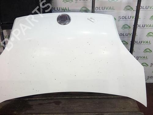 Hood FIAT FIORINO Box Body/MPV (225_) 1.3 D Multijet (225BXD1A, 225BXB1A, 225BXB11) | BP22004611C1 