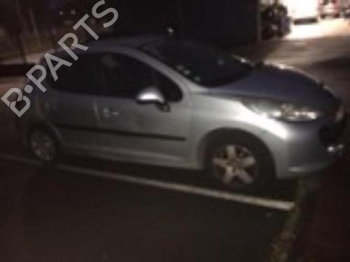 Left rear door PEUGEOT 207 (WA_, WC_) 1.4 HDi | BP20352551C4 