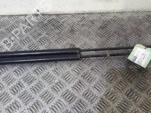 Used Hood lift support CITROËN C6 (TD_) 2.7 HDi (204 hp) 20727371