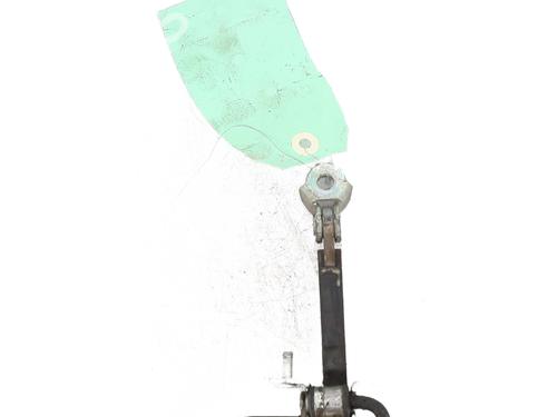 Hinge/Door check strap FIAT 500 (312_) 1.3 D Multijet (312AXB1A) | BP25010366C146