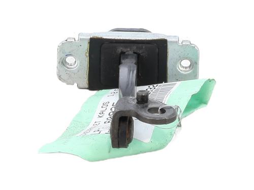 Hinge/Door check strap CHEVROLET AVEO / KALOS Hatchback (T250, T255) 1.2 | BP29493108C146 