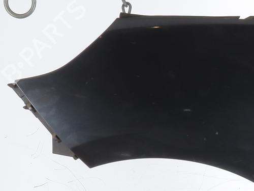 Left front fenders RENAULT SCÉNIC III (JZ0/1_) 1.5 dCi | BP25343737C41 