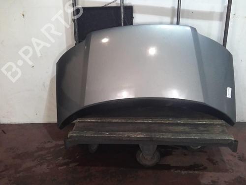Hood VW SHARAN (7M8, 7M9, 7M6) 1.9 TDI | BP20360507C1 