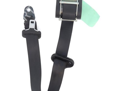 Rear left seatbelt PEUGEOT 206+ (2L_, 2M_) 1.4 HDi eco 70 | BP31166354I29