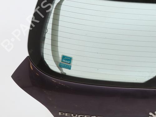 Bakluke CC/Kombi-Kupé PEUGEOT 307 (3A/C) 2.0 HDi 110 | BP28683724C6 