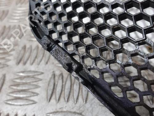 Grille PEUGEOT 406 (8B) 2.0 HDI 90 | BP20352652C40 
