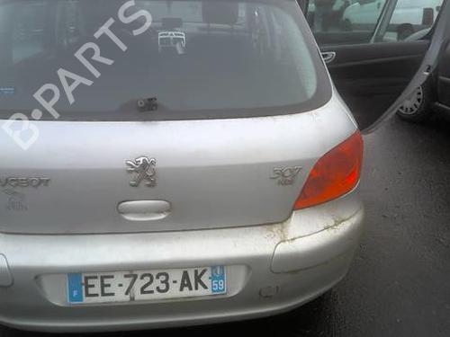 Door moulding trim PEUGEOT 307 (3A/C) 1.6 HDi 110 | BP24147268C150 