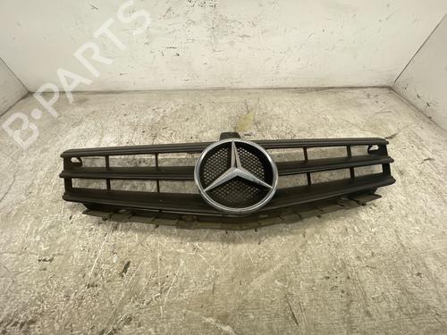 grille-mercedes-benz-a-class-w169-2004-2005-2006-2007-2008-2009-2010-2011-2012-39986411 main image
