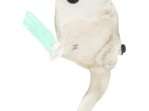 Windscreen washer tank OPEL MERIVA A MPV (X03) 1.4 16V Twinport LPG (E75) | BP26163136C113 