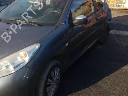 Left front door PEUGEOT 206+ (2L_, 2M_) 1.4 i (2LKFWA, 2MKFWA) | BP21116989C2 