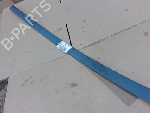 Dørliste FORD C-MAX (DM2) 1.6 TDCi (90 hp) 31909767