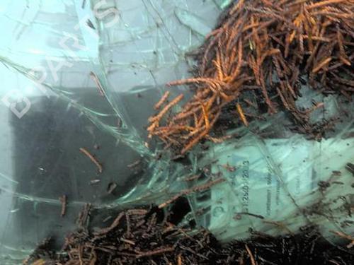 Starter CITROËN C5 III (RD_) 3.0 HDi 240 (RDX8CA) | BP23789246M8  - Image 18