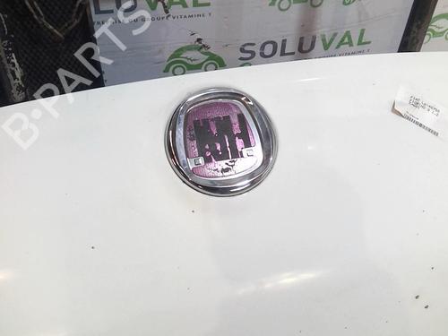 Hood FIAT FIORINO Box Body/MPV (225_) 1.3 D Multijet (225BXD1A, 225BXB1A, 225BXB11) | BP22004611C1 