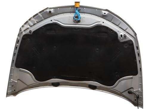 Hood SEAT IBIZA IV (6J5, 6P1) 1.2 TDI | BP31961571C1