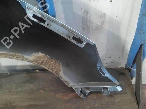 Left front fenders RENAULT SCÉNIC III (JZ0/1_) 1.5 dCi | BP20365492C41 