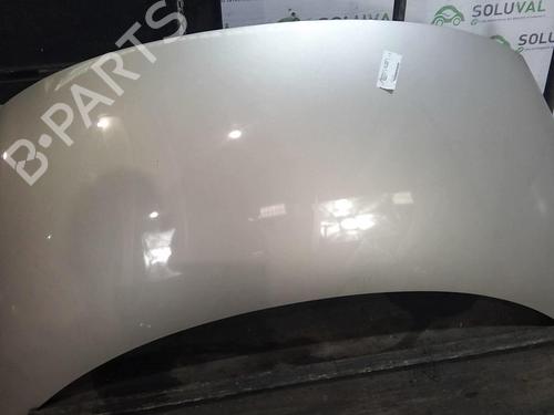 Used Hood RENAULT SCÉNIC III (JZ0/1_) 1.9 dCi (JZ0J, JZ1J, JZ1K, JZ1S) (131 hp) 22004419