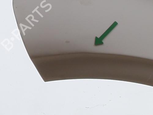 Left front fenders PEUGEOT 208 I (CA_, CC_) 1.0 VTi | BP27838048C41 