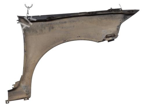 Left front fenders RENAULT LAGUNA II (BG0/1_) 1.9 dCi (BG08, BG0G) | BP26546380C41 