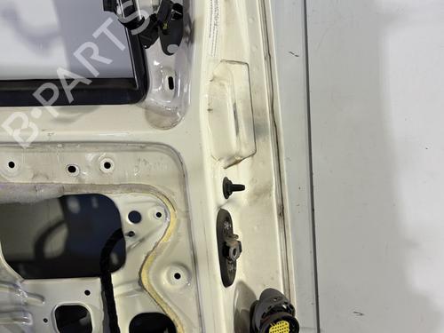 Left front door CITROËN NEMO Box Body/MPV (AA_) 1.3 HDi 75 | BP29402931C2 