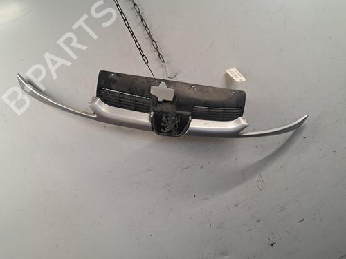 Grill PEUGEOT 206 Hatchback (2A/C) 1.4 HDi eco 70 (68 hp) 30648177