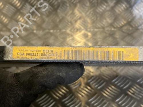 Used AC radiator PEUGEOT PARTNER Tepee 1.6 BlueHDi 100 (100 hp) 22096330
