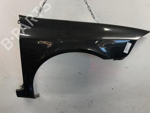 Used Left front fenders RENAULT LAGUNA II Grandtour (KG0/1_) 1.6 16V (112 hp) 23789849