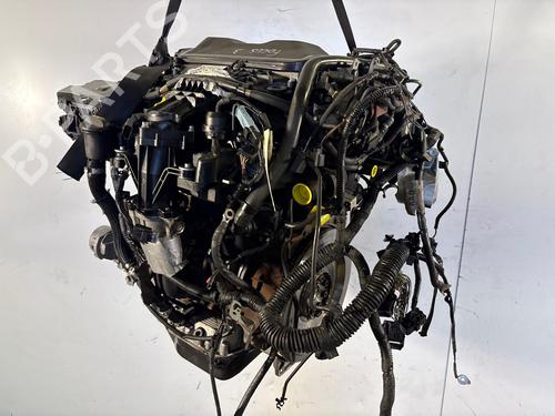 Used Engine Engine 36876764 36876764