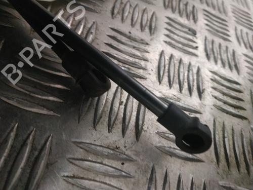 Tailgate lift support NISSAN QASHQAI I (J10, NJ10) 1.5 dCi | BP30546067C138