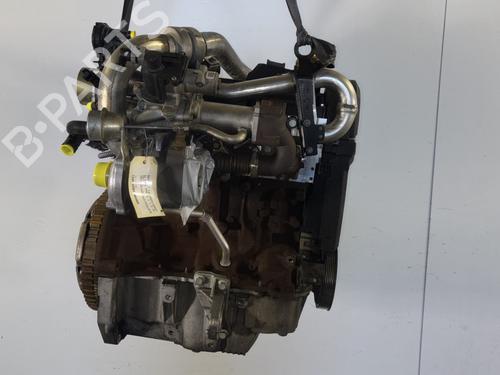 Engine RENAULT CLIO III (BR0/1, CR0/1) 1.5 dCi (BR17, CR17) | BP30901796M1 