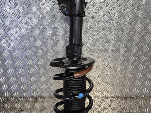 right-front-shock-absorber-renault-master-iii-platformchassis-ev-hv-uv-2010-38185845 main image