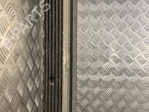 Used Intercooler VW POLO V (6R1, 6C1) 1.6 TDI (90 hp) 29606088