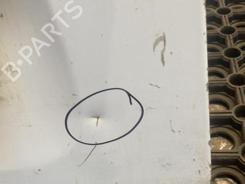 Left rear door NISSAN PRIMASTAR Van (X83) 2.0 dCi 115 | BP22094367C4 
