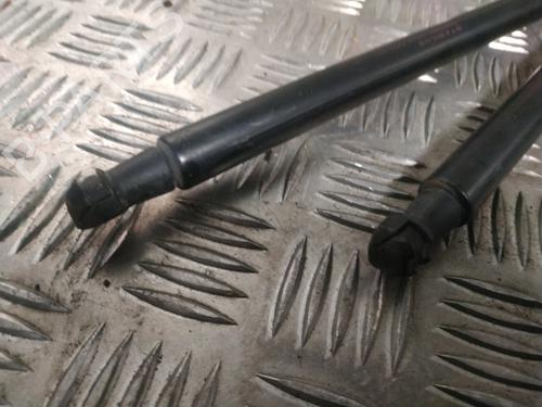 Tailgate lift support NISSAN QASHQAI I (J10, NJ10) 1.5 dCi | BP30546067C138